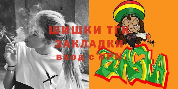 гидра Алексеевка