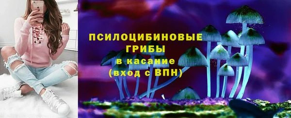 гидра Алексеевка