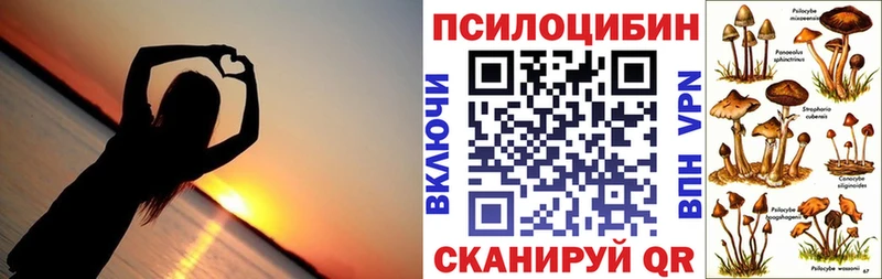купить   Алзамай  Галлюциногенные грибы Psilocybine cubensis 