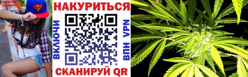 Бошки марихуана сатива  shop телеграм  Алзамай  где купить наркоту 
